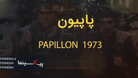Papillon