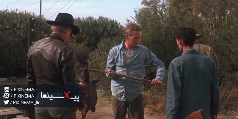 سکانس فرار لوک در فیلم لوک خوش‌دست (Cool Hand Luke,1967)