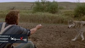 dancewithwolves01