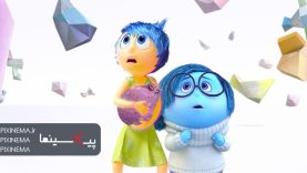 insideout02