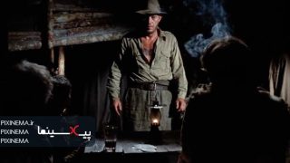 papillon04