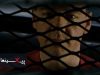 سکانس دیالوگ کوین اسپیسی با برد پیت و فریمن فیلم هفت(Se7en,1995)